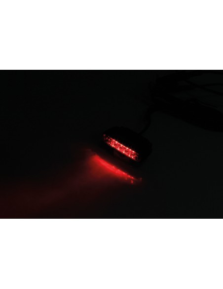 HIGHSIDER pro Organic LED TailLight Black/Red E-Approved (1pc)