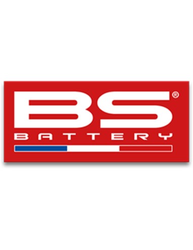 BS BATTERY Small Sticker French Flag - 50 pcs