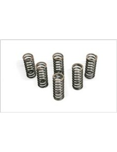 CLUTCH SPRING KIT FOR RM250...