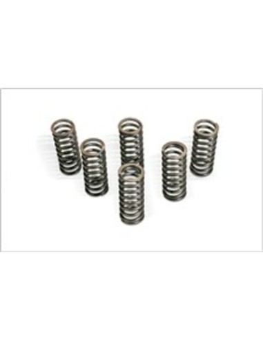 CLUTCH SPRING KIT FOR RM250 06-08