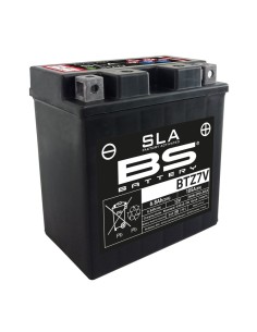 BS BATTERY SLA Battery...