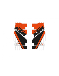 Kit grafic BLACKBIRD...