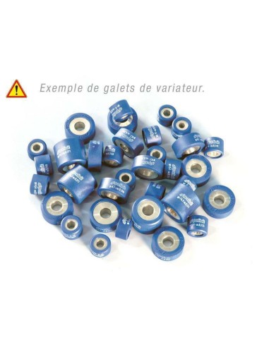 POLINI Variator Rollers 25X16 G. 17gr