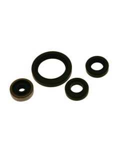 CENTAURO Oil Seal Set