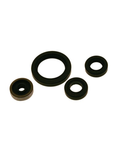 CENTAURO Oil Seal Set