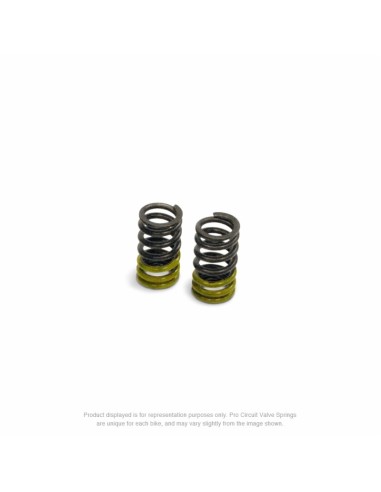 PRO CIRCUIT Valve Springs