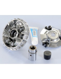 Variator Hi-Speed POLINI -...