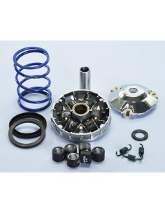 POLINI Hi-Speed Variator -...