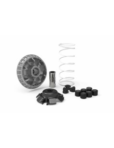 MALOSSI Multivar Variator -...