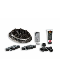 MALOSSI Multivar Variator -...