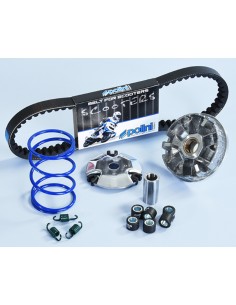 POLINI Hi-Speed Variator -...