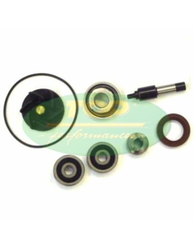 TOP PERFORMANCES Water pump repair kit