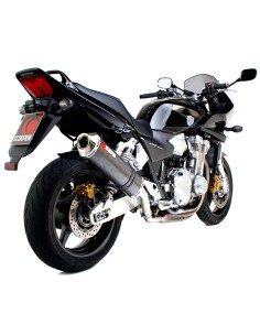 Oval section carbon exhaust 2