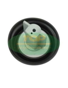 TOP PERFORMANCES Carburetor...