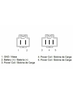 TECNIUM by DZE Regulator 2