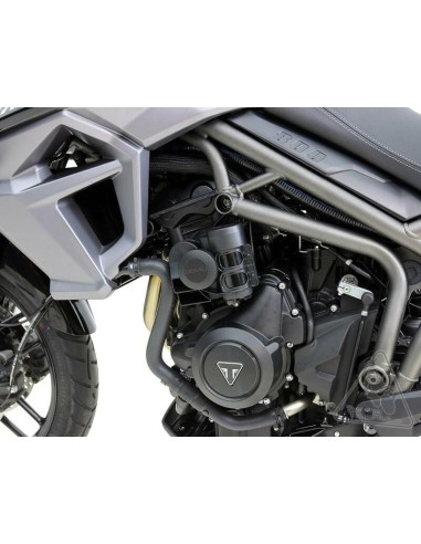 DENALI Soundbomb Horn Mount Triumph...