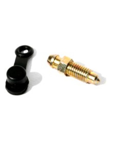 BRAKING MASTER CYLINDER BLEED SCREW