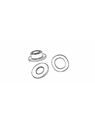 Additional rivet kit for Brembo 357000 06 brake disc