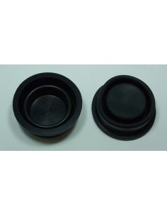 Diafragma rezervor...