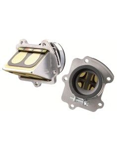 BOYESEN Rad Reed valve...