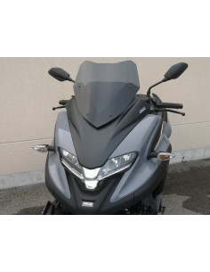 Parbriz Racing VP ART S...