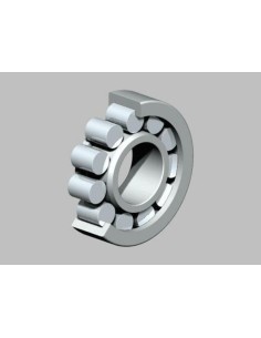 NTN Crankshaft Bearing...