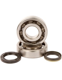 HOT RODS Crankshaft Bearing...