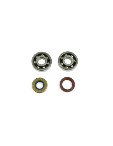 ATHENA Crankshaft Bearing & Oil Seal Kit