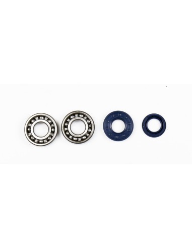 ATHENA Crankshaft Bearing & Oil Seal Kit