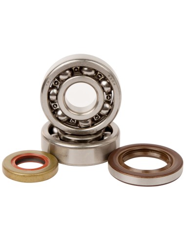 HOT RODS Crankshaft Bearing & Oil Seal Kit