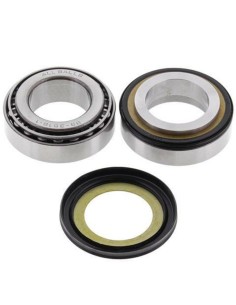 ALL BALLS Kit rulment...