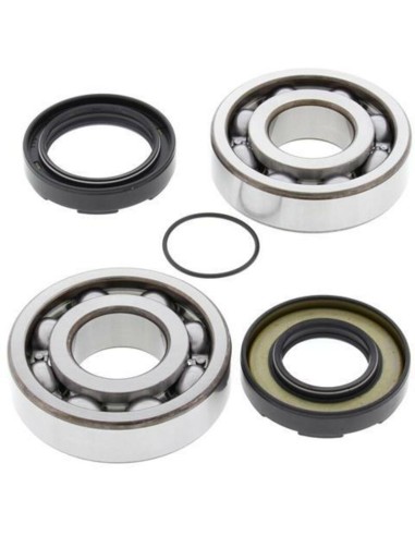 ALL BALLS Crankshaft Bearing & Oil Seal Kit