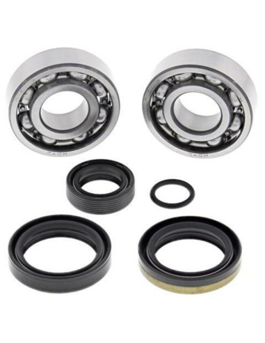 ALL BALLS Crankshaft Bearing & Oil Seal Kit