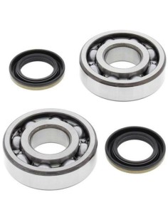 ALL BALLS Crankshaft...