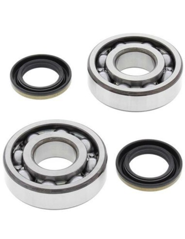 ALL BALLS Crankshaft Bearing & Oil Seal Kit