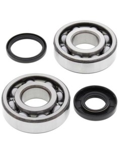 ALL BALLS Crankshaft...