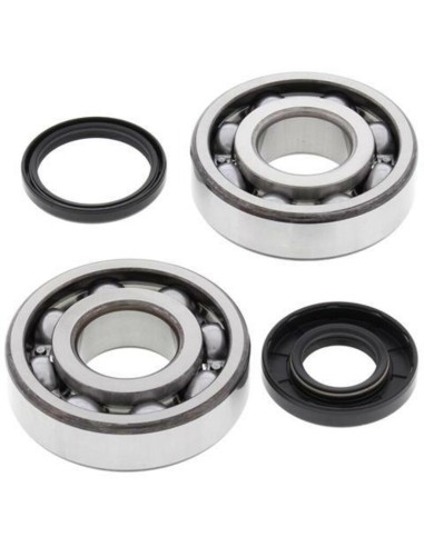 ALL BALLS Crankshaft Bearing & Oil Seal Kit