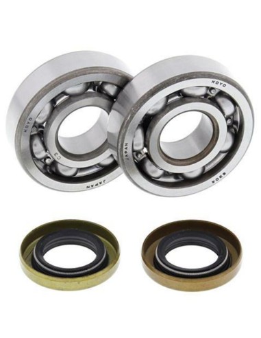 ALL BALLS Crankshaft Bearing & Oil Seal Kit