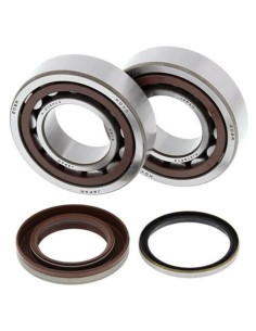ALL BALLS Crankshaft...