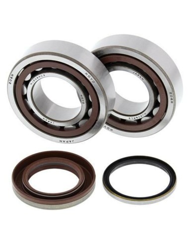 ALL BALLS Crankshaft Bearing & Oil Seal Kit