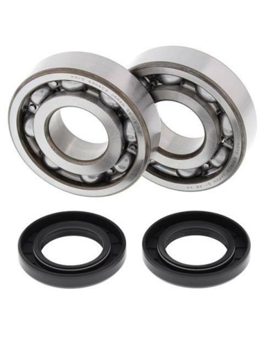 ALL BALLS Crankshaft Bearing & Oil Seal Kit