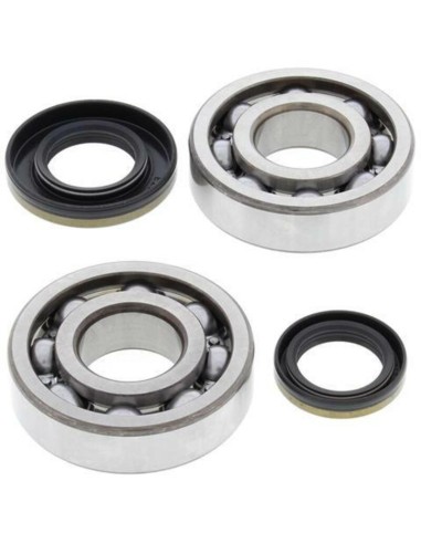 ALL BALLS Crankshaft Bearing & Oil Seal Kit