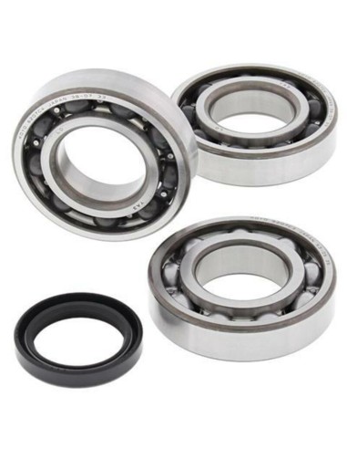 ALL BALLS Crankshaft Bearing & Oil Seal Kit