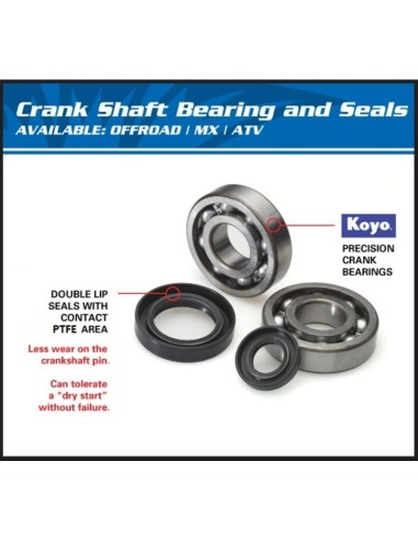 ALL BALLS Crankshaft Bearing & Oil...