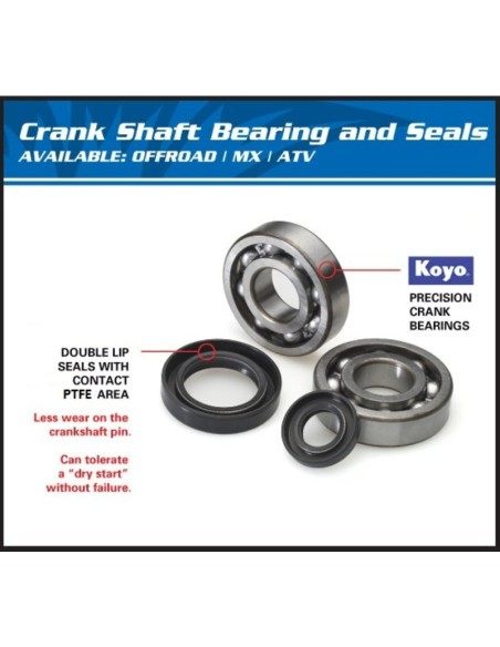 ALL BALLS Crankshaft Bearing & Oil Seal Kit