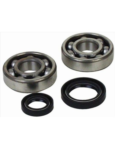 ALL BALLS Crankshaft Bearing & Oil Seal Kit