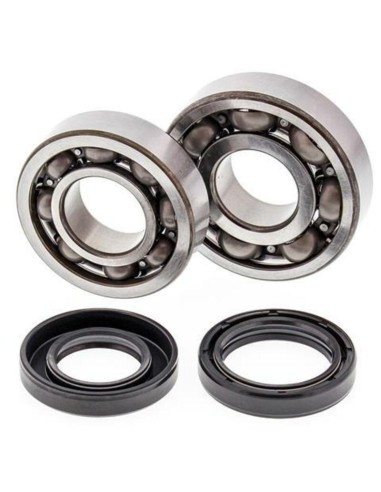 ALL BALLS Crankshaft Bearing & Oil Seal Kit