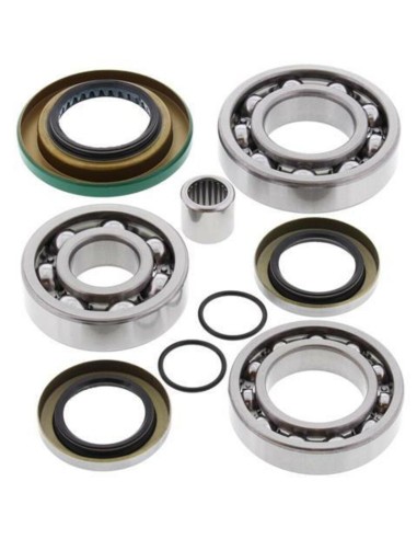 ALL BALLS Rear Differential Bearing & Seal Kit Can Am