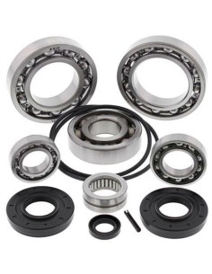 ALL BALLS Rear Differential...