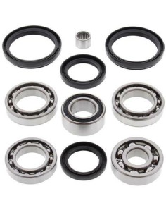 ALL BALLS Rear Differential...